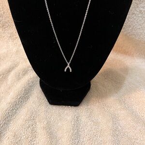 Lia Sophia Silver Wishbone Necklace